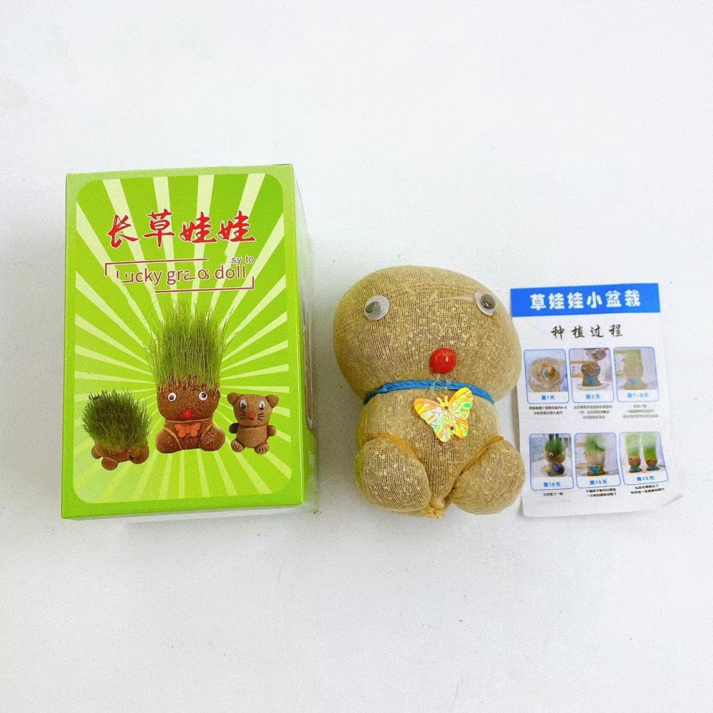 Muñeca de hierba en caja muñeca de hierba dulce muñeca floral verde para niños observación de plantas ornamentos maceta image 3