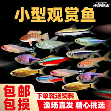 �t�G���~С�͵�ˮ�Ꭷ�^�p�~��ɏ����ȸ���R�~��ʹ�~���w�~����B