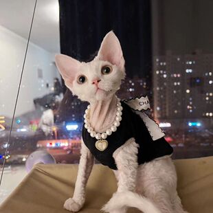 ؈�������Ȧ؈؈�͹�ˮ���朌�����؈������ɐ�С����b�Ʒ