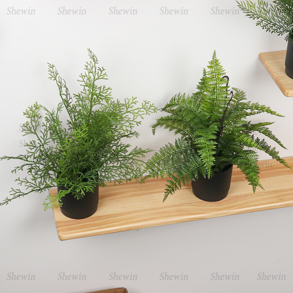 Simulación de helechos transfronterizos de plantación en maceta de interiores de hogares de aterrizaje de helechos adornos de simulación de plantas verdes de cemara de helechos de plástico bonsai image 5
