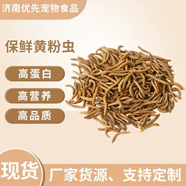 观赏鱼饲料;水族宠物饲料