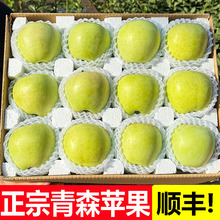 ��ɭ�O������ˮ�����O�����rɽ�|ˮ�������������������ձ����N