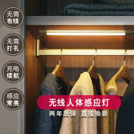 短款衣柜人体感应灯条厨房酒柜过道充电小夜灯客厅双色光磁吸壁灯