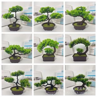 Yingke Pine Plant Potted Plant Indoor Green Plant Bonsai Desktop Fake Flower Decoration Home Decorations Laosong