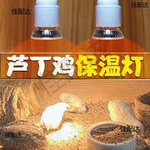 �J���u�a�؟����ܜؿ������؟�ȡů����B����Ӝؼӟ�С�u���r��