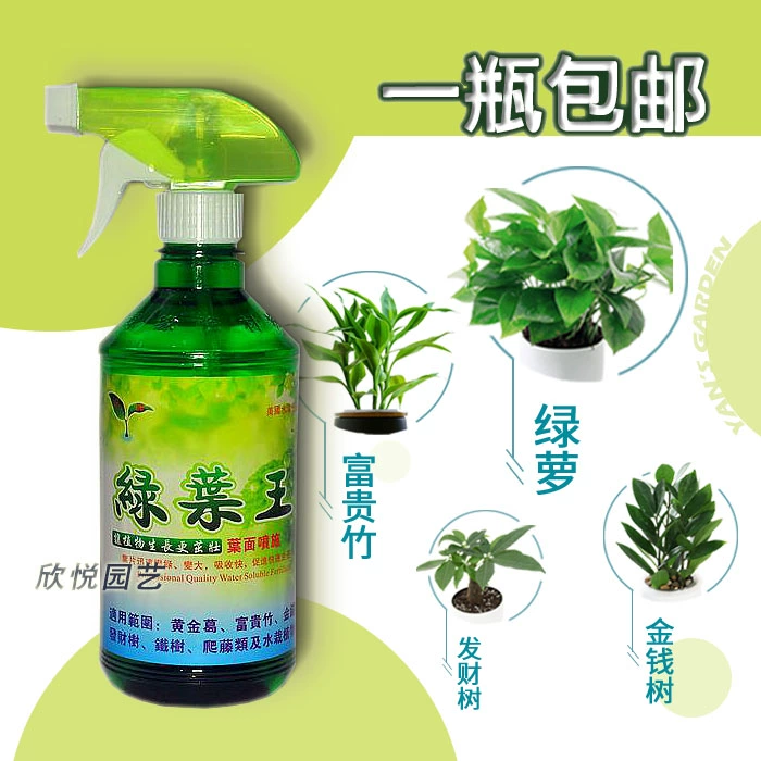 Зеленый Leaf King питательный раствор непосредственно распыляет листья без разбавления