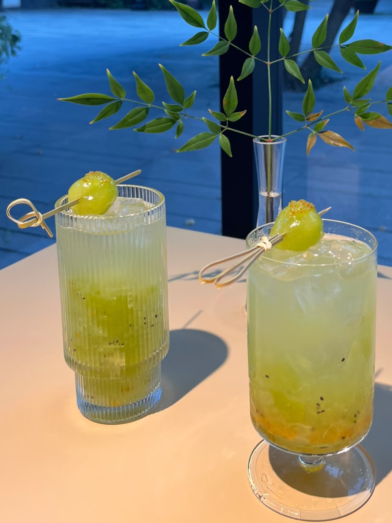 Green Grape Jasmine Drink 150ml Box of 10 Sticks Ready to Brew Fruit Tea Beverage preparation