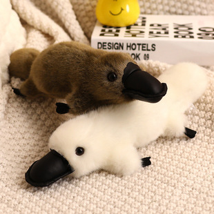 �羳�¿�����F��ż�ɐۺڰ�����Fë�q������նY�����޹�����؛