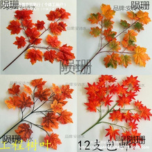 ��ͩ�~�~�Ӽ٘��~�����bGֲ�����~�^�z�����＾�t�y���~���~