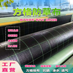 Plaid anti-grass weeding cloth green thread sulshou woven cloth flat woven plaid gardening ground cloth field Plaid anti-grass cloth