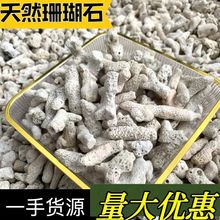 (纯天然)珊瑚骨鱼池过滤材料鱼缸滤材底砂底沙珊瑚石海鲜池净化