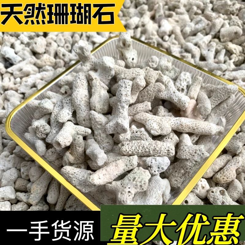 (纯天然)珊瑚骨鱼池过滤材料鱼缸滤材底砂底沙珊瑚石海鲜池净化
