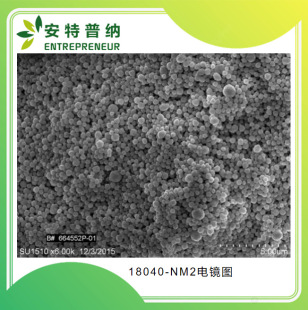 ����AMES�����y��18040-NM2 ��΢�׼�4.6g/cc�񌍌����ī/TSP��