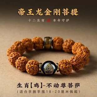 2026���u����������ִ��п�ߙn�P������R�걾������朴����Ͱ�