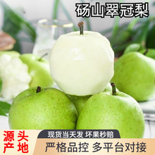 �����������r���ڴ����Xɽ����������ѩ����ʹ�����һ�����l