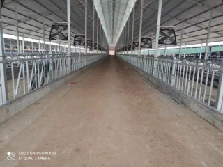 厂家定制生产牛颈夹羊颈夹自锁式单开双开活位牛颈夹羊颈夹