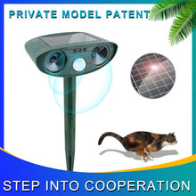 Wholesale of spot solar ultrasonic drivers and animal driver