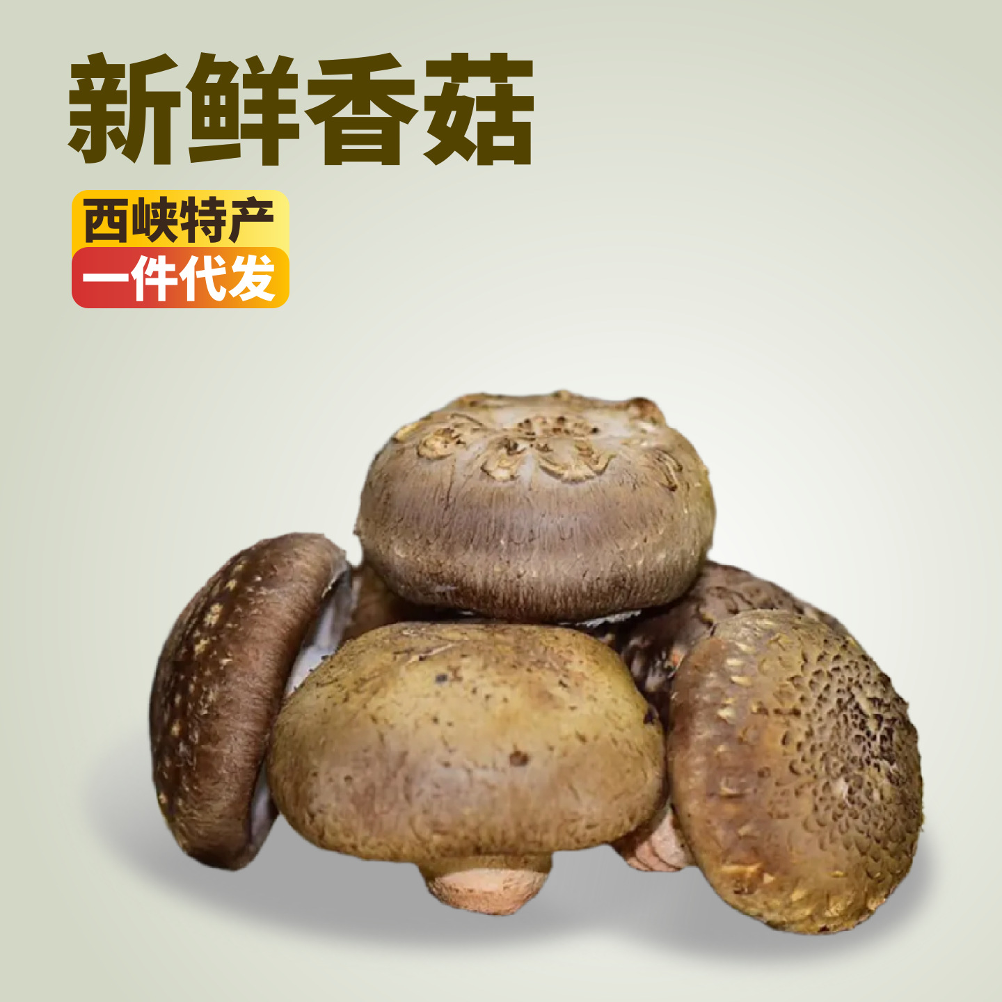 西峡鲜香菇代发蘑菇菌菇火锅食材涮菜蔬菜农家特产小香菇产地直发