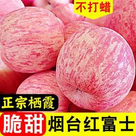 苹果山东烟台红富士当季现摘水果新鲜脆甜不打蜡带皮吃整箱包邮