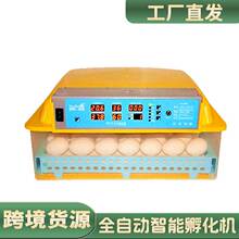 跨境56枚全自动孵化机36枚小型双电孵化器110V多功能鸡鸭鹅孵蛋器