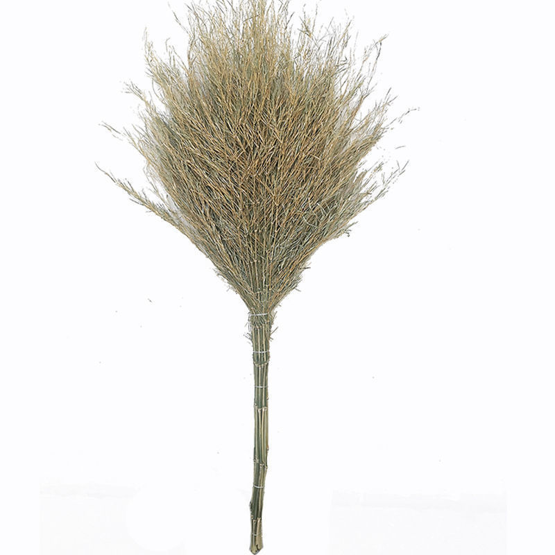 Bomba de bambú doméstica patio exterior carretera saneamiento limpieza de limpieza de suelo espeso bambú limpieza doméstica