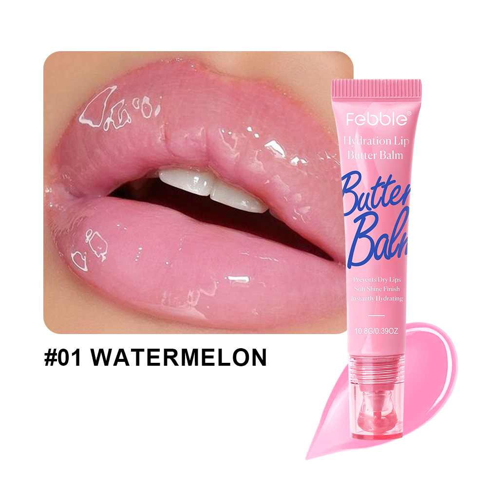 Febble Amazon spot transfronterizo venta caliente lipstick líquido hidratante esmalte labial hidratante FBC031