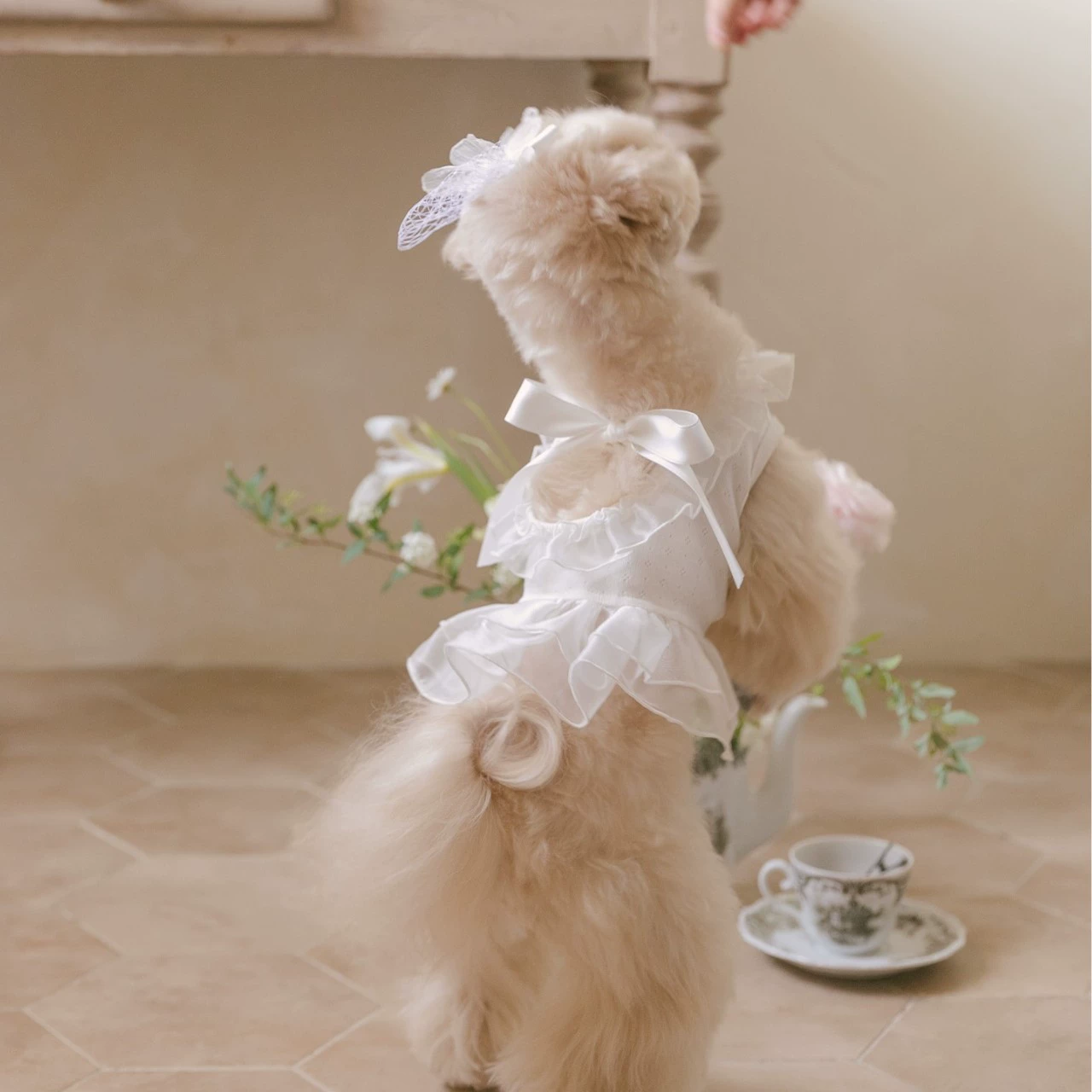 Одежда для собак, летняя юбка-пачка, юбка принцессы, балетное платье для маленьких собак, щенков, заколка для волос с цветком