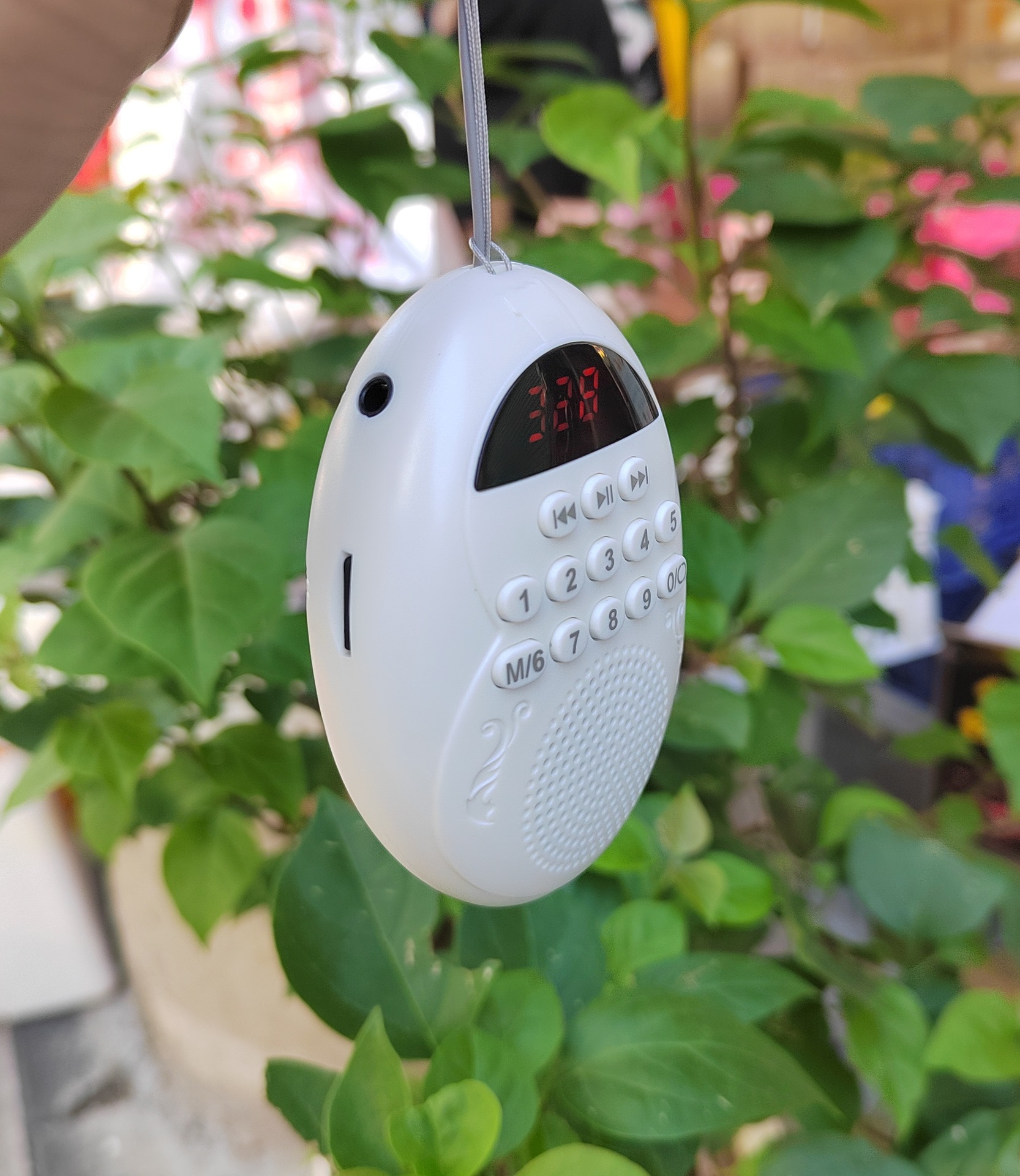 8f31c2e5efaa7a1795079aaaebad1b