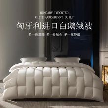 进口羽绒被秋冬被加厚保暖蓄热冬被95白鹅绒被单双人被源头工厂