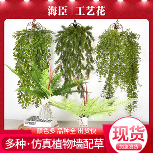 Sl ֲݷGֲ՚ֲﻨ~ֲb