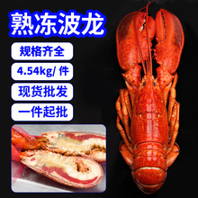 熟冻波士顿龙虾加拿大原装进口大龙虾螯龙虾海鲜整箱冻波士顿龙虾