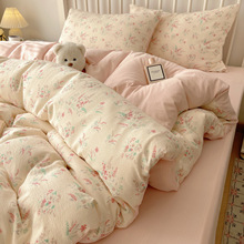 2025�¿�W�����ڶ���ľ��ˮϴ���ļ���������������