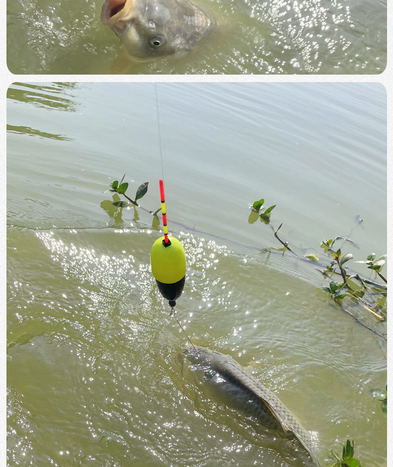 df25976a-f771-4f4f-94e3-4f8eec23c2f9.jpe