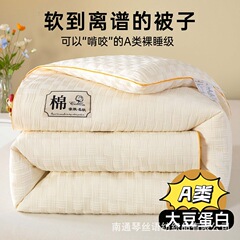 クラスA母子グレードの生綿大豆キルト芯増粘冬用キルト春秋用キルト母子用キルト夏用クールキルト学生寮用キルト