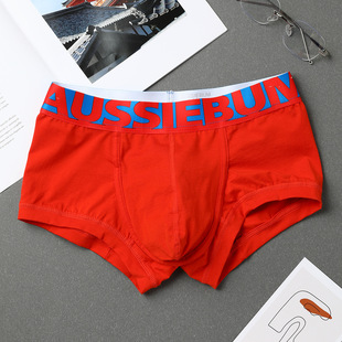 ������t��ѝ ��ʿƽ��U͹������ ����AUSSIEBUMСƽ�Ƕ�ɫ���x