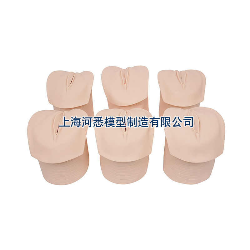 Model of Prenatal Cervical Changes and Their Relationship to the Birth Canal