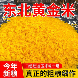 �����ז|���������خaŴ�������ķǴ��״ּZ���10��5��