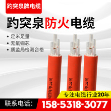 �����V���|�^��������|BTTRZ BTTWY YTTW������ͻȪ�Ʒ�����|