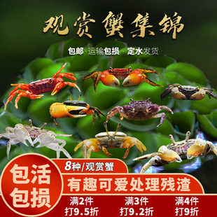 ����з���������^�pз�ײ���ˮ���cз����з��ˮз��܊��������r