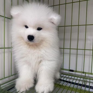 ���l�_ĦҮѩ��Ȯ��Ȯ���w����С���_ĦҮ����Ȯ����Ȯ���ﹷ����