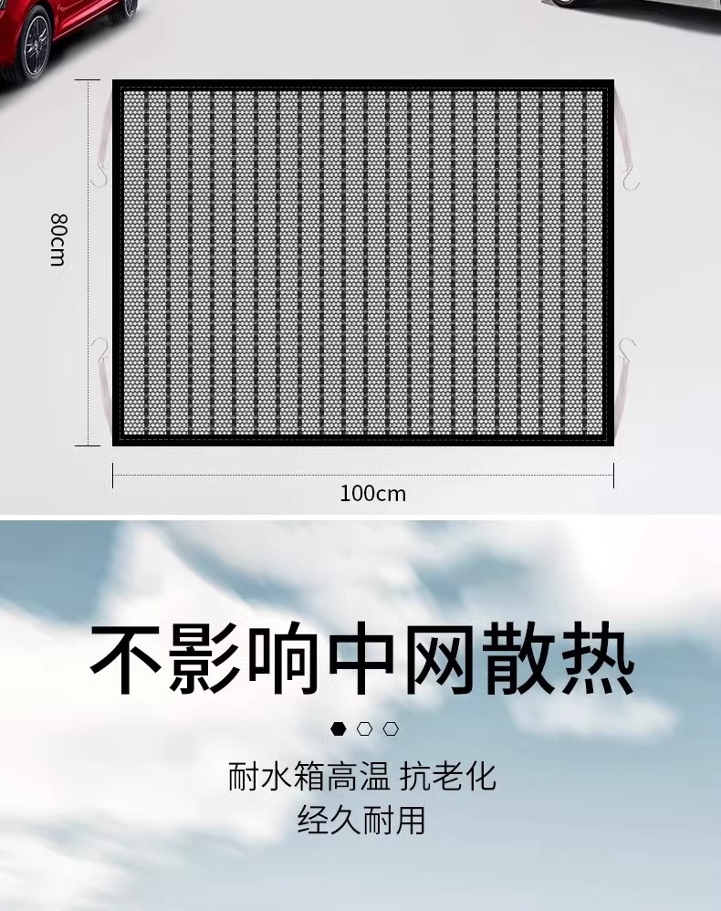 Magotan 21 Sagittarius Volkswagen Langyi plus Bora Passat Tiguan L Jetta vs5 Water Tank Protection Insect Net