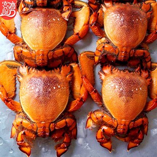 ����ϻ�з 1������/ֻ�������~�Mœһ�����lֱ����