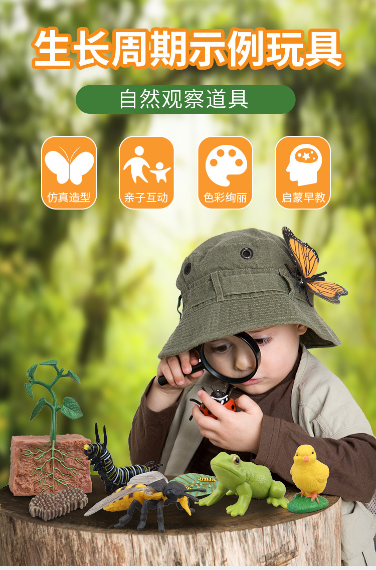 生长周期内页_01