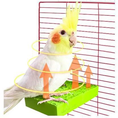 Поставка Попугай Птица хомяк Шиншилла нагревательная станция плата нагревательная станция Стержень низкого давления безопаснее 5 Вт постоянный контроль температуры