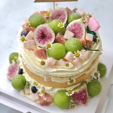 СյbֹƬoֳƬƬɲ