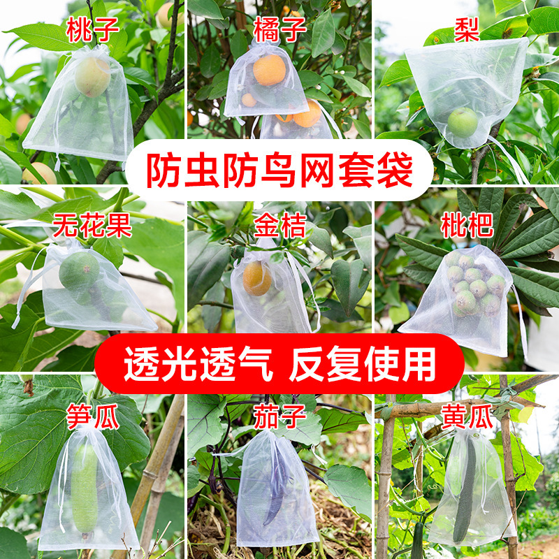 Fruit Bagging, Fruit Anti-Bird and Insect Special Mesh Bag, Grape, Fig and Pomegranate Drawstring Flap Pocket Pants Protective Bag in Stock Fruit Bagging, Fruit Anti-Bird and Insect Special Mesh Bag, Grape, Fig and Pomegranate Drawstring Flap Pocket Pants Protective Bag in Stock