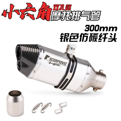 250Sr Track Version, Ninja400 | Exhaust pipe - 300-double-hole-silver-imitation-carbon-head