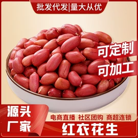 代餐粉;豆类;芝麻