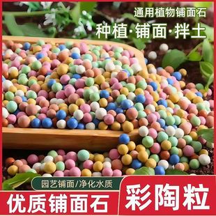 Colorful Pottery Granules Fleshy Paving Stone Pad Potting Breathable Flower-arranging Use Flower-cultivating Hydroponic Fish Tank Ceramsite Soil Nutrition