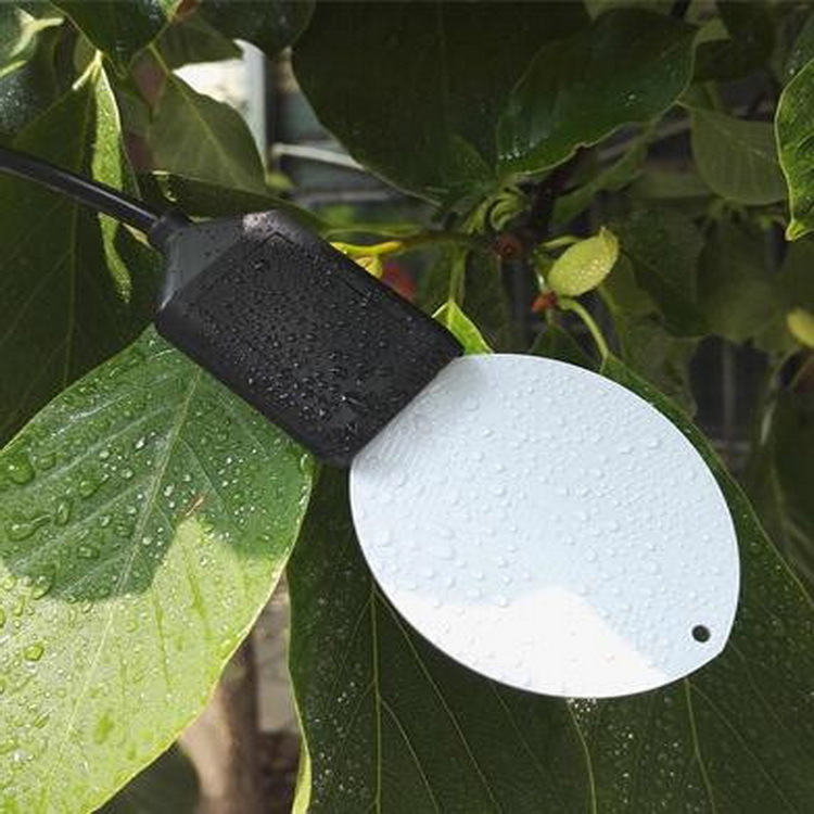 叶面温湿度传感器 型号 LWS-10库号 M285210